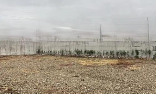 Description of image