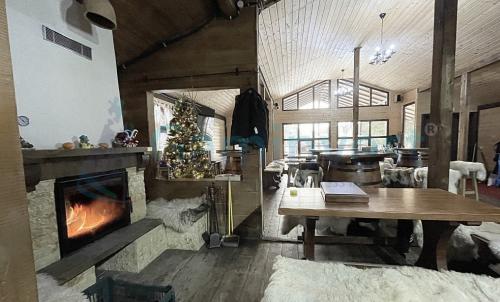 Description of image