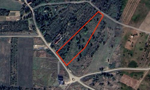 Description of image