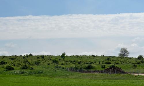 Description of image