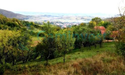 Description of image