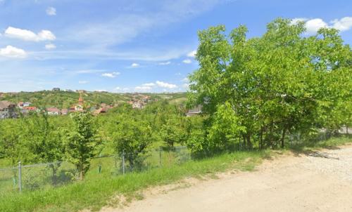 Description of image