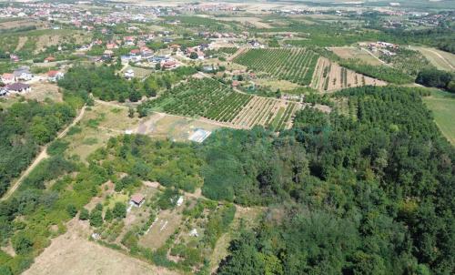 Description of image