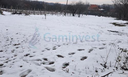 Description of image