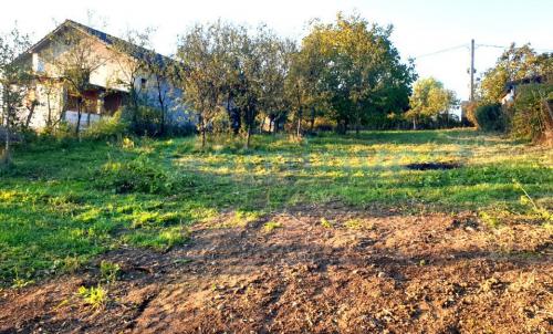 Description of image