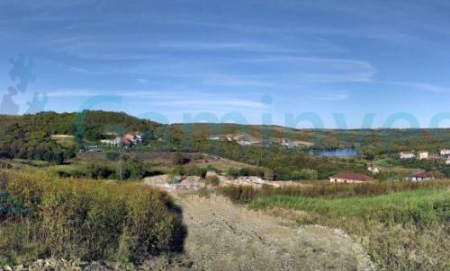 Description of image