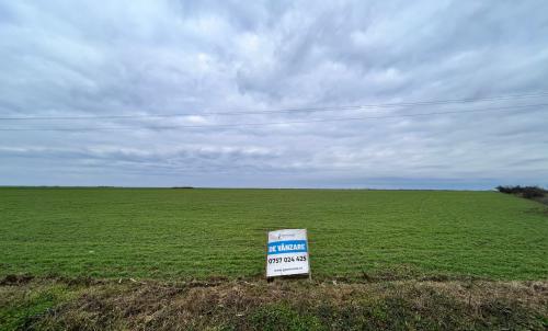 Description of image