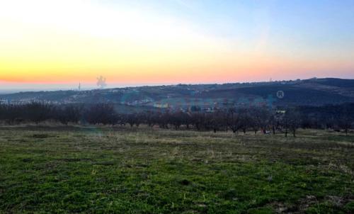 Description of image