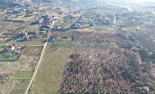 Description of image