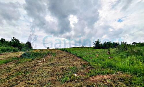 Description of image