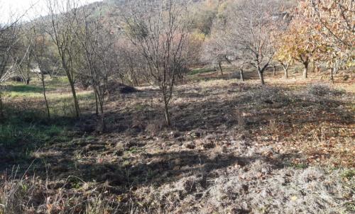 Description of image