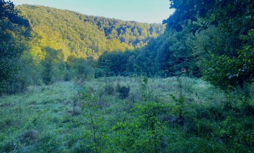 Description of image