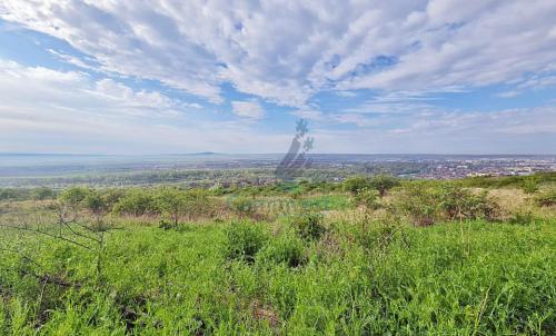 Description of image