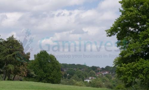 Description of image