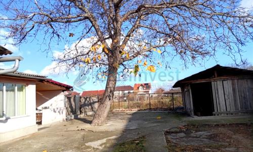 Description of image