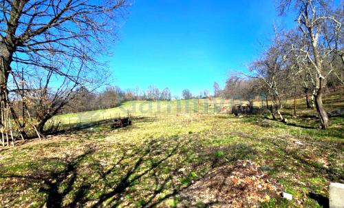 Description of image