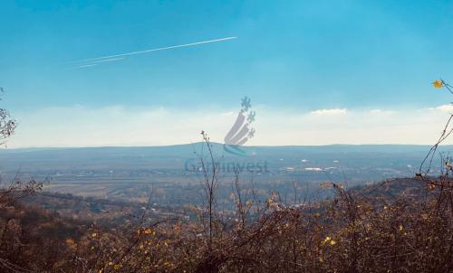 Description of image