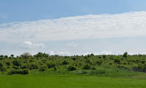 Description of image