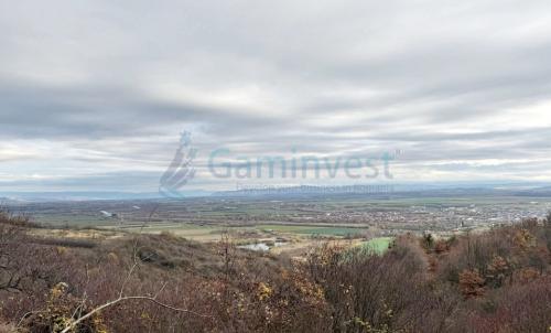 Description of image