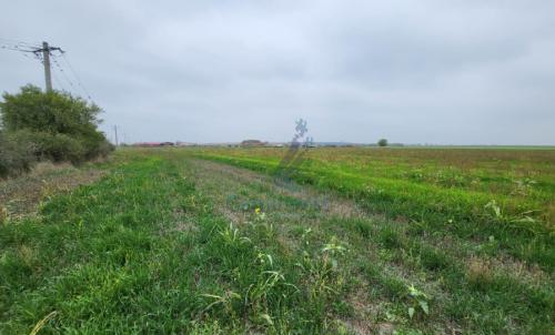 Description of image