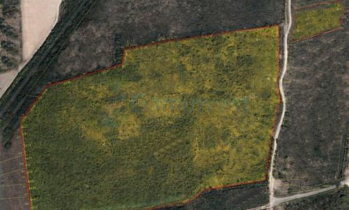 Description of image