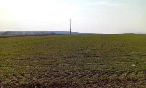 Description of image