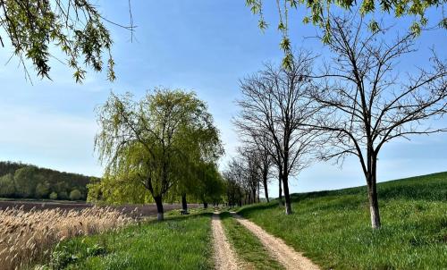 Description of image