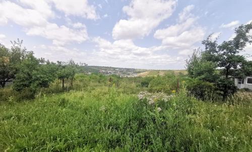 Description of image